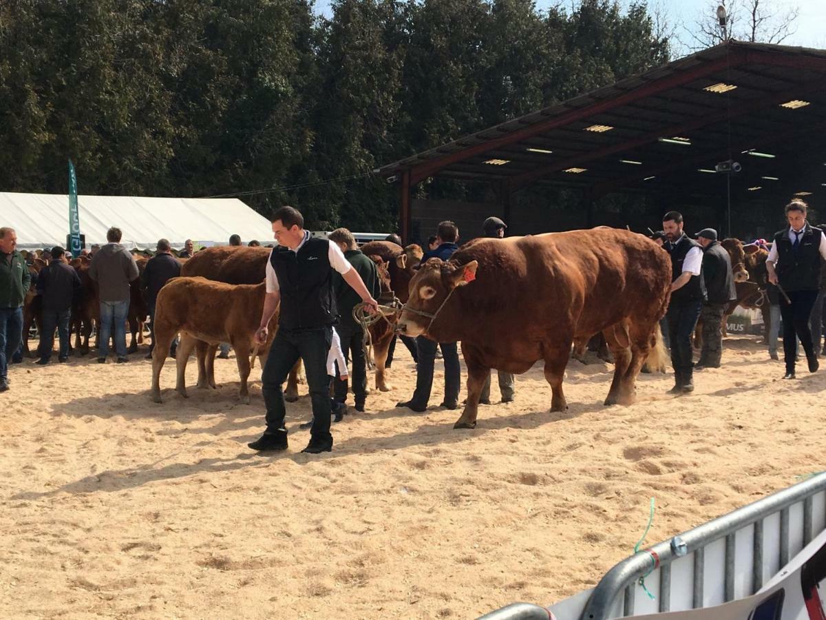Exideuil-sur-Vienne Maison Loubignac At Les Vergnes Gites المظهر الخارجي الصورة